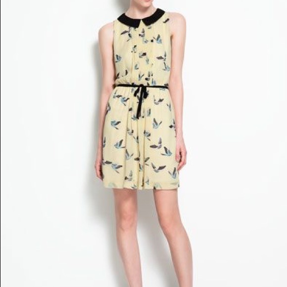 zara bird print dress